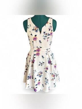 Francesca's Collections Cream Floral V-Neck Skater Dress